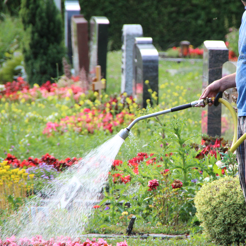 Auf einem Friedhof mit blumigen Grübern ist im Vordergrund eine Person zu sehen, die einen Wasserschlauch in der Hand hält und die Blumen gießt.